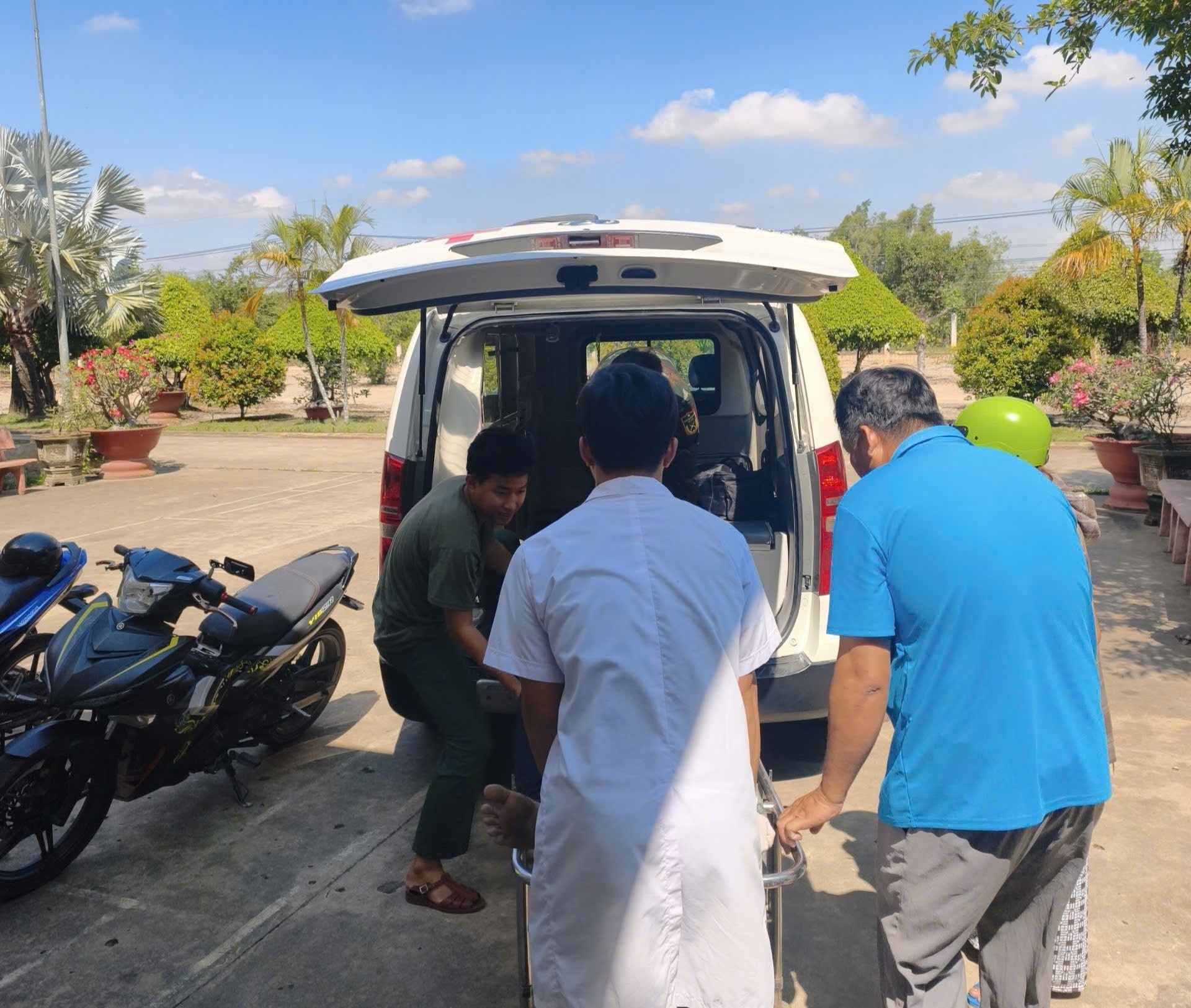 Cứu sống 3 người bị ong đốt dẫn đến sốc phản vệ