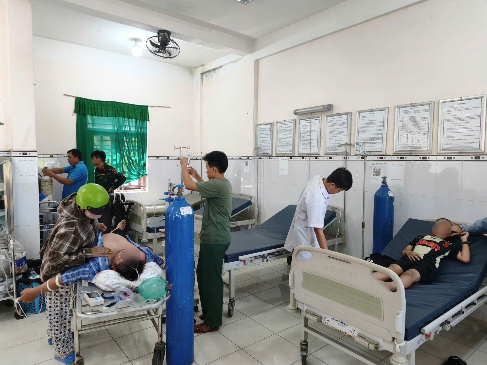 Cứu sống 3 người bị ong đốt dẫn đến sốc phản vệ