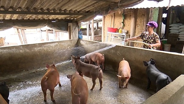 Phát huy nội lực, xã Pắc Ta (Lai Châu) hiện thực hóa nghị quyết, nâng cao đời sống nhân dân Phát huy nội lực, xã Pắc Ta (Lai Châu) hiện thực hóa nghị quyết, nâng cao đời sống nhân dân