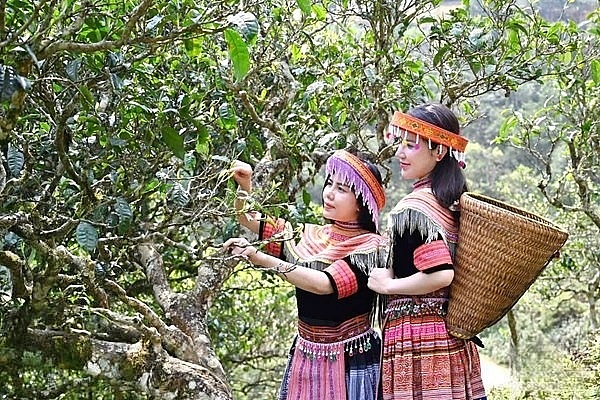 “Dân vận khéo” lan tỏa ở Tà Xùa, tạo động lực phát triển vùng cao Sơn La “Dân vận khéo” lan tỏa ở Tà Xùa, tạo động lực phát triển vùng cao Sơn La