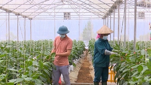 Phát huy nội lực, xã Pắc Ta (Lai Châu) hiện thực hóa nghị quyết, nâng cao đời sống nhân dân Phát huy nội lực, xã Pắc Ta (Lai Châu) hiện thực hóa nghị quyết, nâng cao đời sống nhân dân