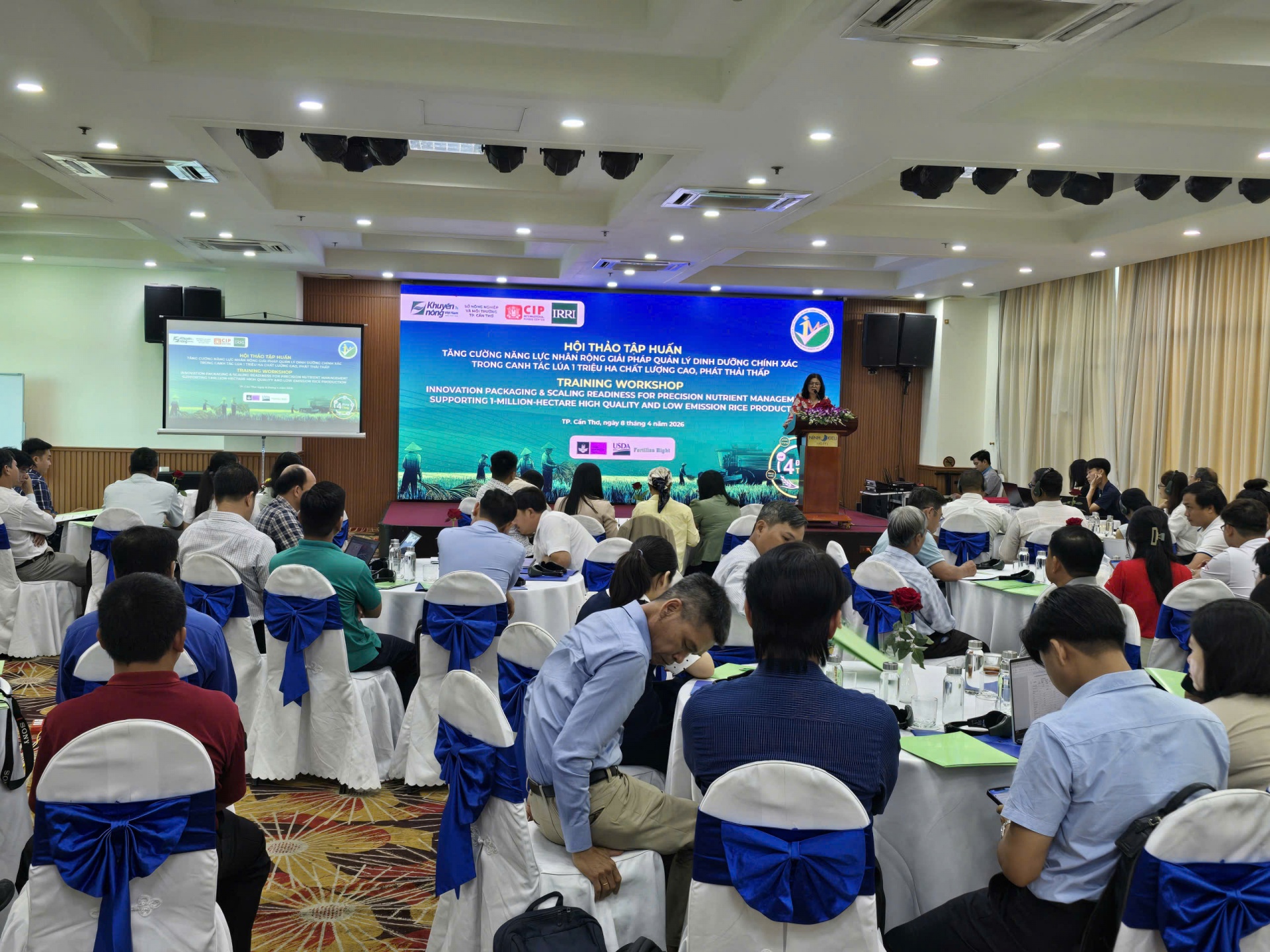 Giúp nông dân miền Tây tăng hiệu quả sản xuất lúa chất lượng cao, phát thải thấp Giúp nông dân miền Tây tăng hiệu quả sản xuất lúa chất lượng cao, phát thải thấp