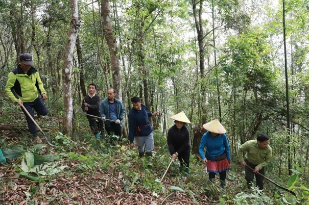 Lai Châu: Chung tay giữ rừng xanh, chủ động phòng cháy mùa khô
