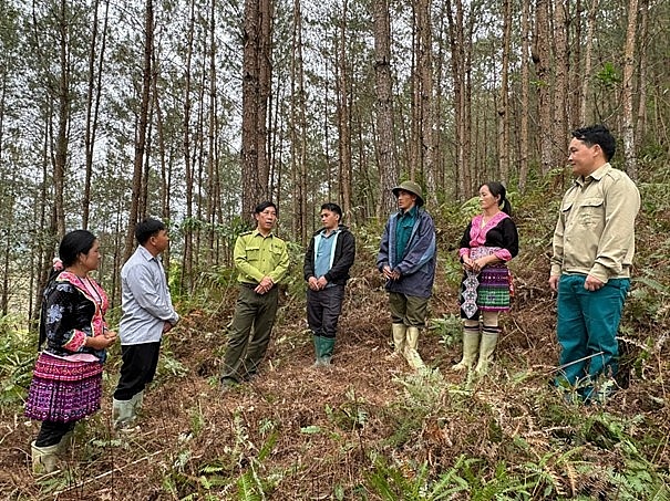 Lai Châu: Chung tay giữ rừng xanh, chủ động phòng cháy mùa khô