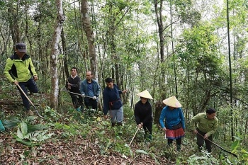 Lai Châu: Chung tay giữ rừng xanh, chủ động phòng cháy mùa khô