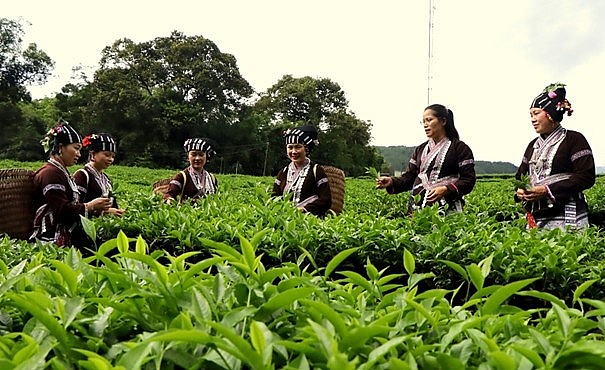 Xã Khun Há (Lai Châu) bứt phá xây dựng nông thôn mới sau sáp nhập