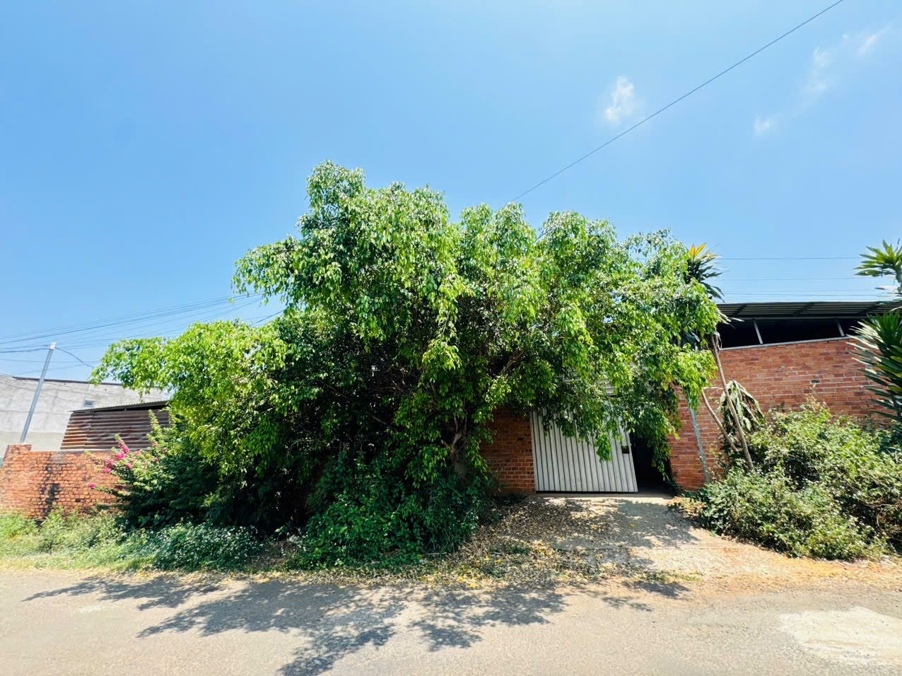    Khu vực trại chăn nuôi gia cầm nằm xen kẽ trong khu dân cư nguồn phát sinh mùi hôi gây ảnh hưởng đến môi trường và đời sống người dân. Ảnh: Đức Sỹ