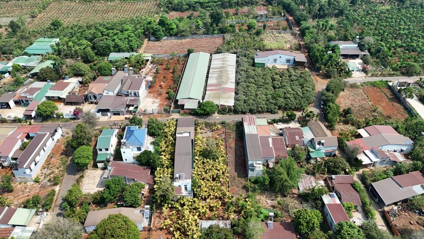 Phường Thành Nhất (Đắk Lắk): Ô nhiễm chăn nuôi ảnh hưởng đến sức khỏe của người dân