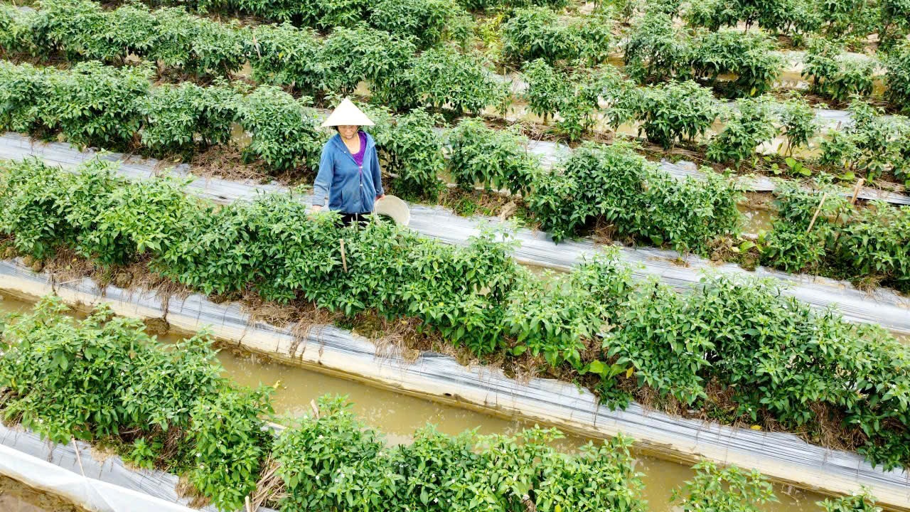 Gặt hái “quả ngọt” từ hành trình thực hiện chương trình xây dựng nông thôn mới, tạo “đòn bẩy” để nông nghiệp Thanh Hóa phát triển trong giai đoạn mới