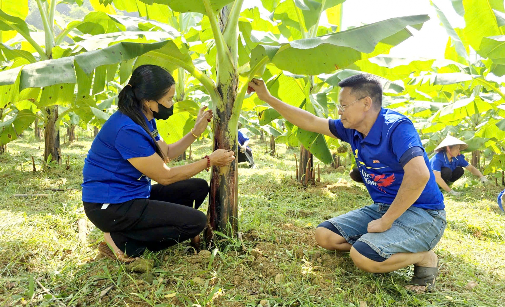 Nhiệm kỳ 2025-2030 xác định mục tiêu xây dựng Thanh Hóa trở thành tỉnh phát triển toàn diện, trong đó nông nghiệp tiếp tục giữ vai trò trụ đỡ của nền kinh tế