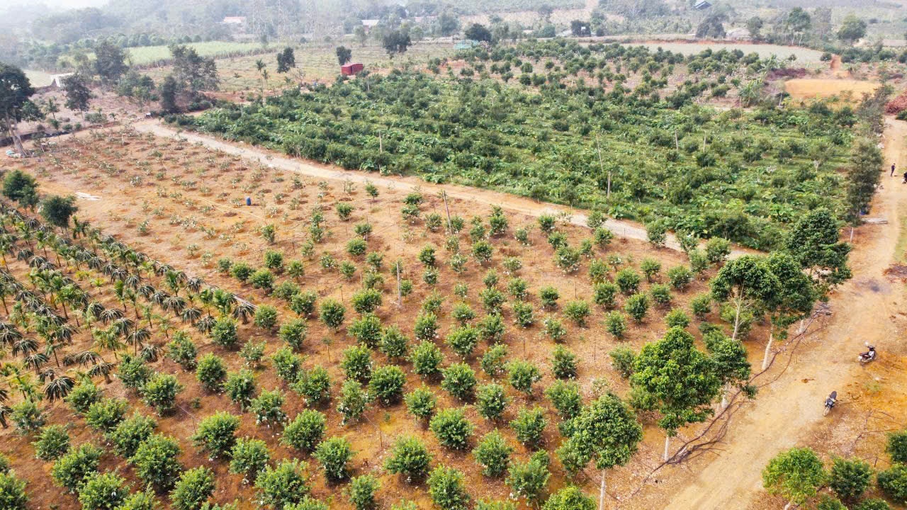 Tạo đà để nông nghiệp xứ Thanh “bứt phá” tăng trưởng trong giai đoạn mới