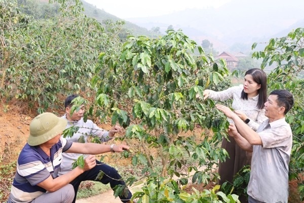 Xã Nậm Lầu (Sơn La) đổi thay nhờ sự lãnh đạo sát thực tiễn của Đảng