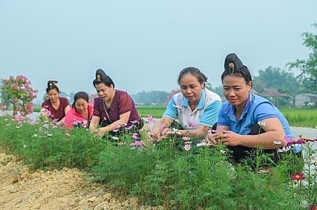 Lan tỏa “Vạn sắc hoa”, tô điểm diện mạo nông thôn Điện Biên