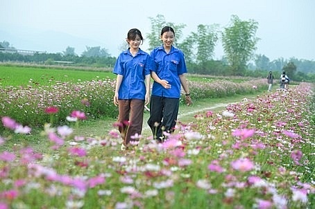 Lan tỏa “Vạn sắc hoa”, tô điểm diện mạo nông thôn Điện Biên