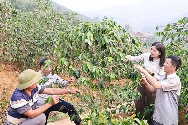 Xã Nậm Lầu (Sơn La) đổi thay nhờ sự lãnh đạo sát thực tiễn của Đảng