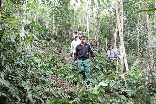 Xã Nậm Lầu (Sơn La) đổi thay nhờ sự lãnh đạo sát thực tiễn của Đảng