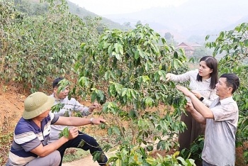 Xã Nậm Lầu (Sơn La) đổi thay nhờ sự lãnh đạo sát thực tiễn của Đảng