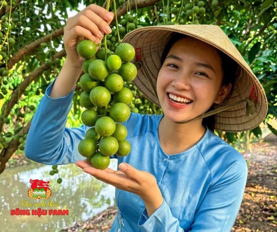 Về Sông Hậu Farm, chạm vào nhịp sống miệt vườn giữa lòng Cần Thơ