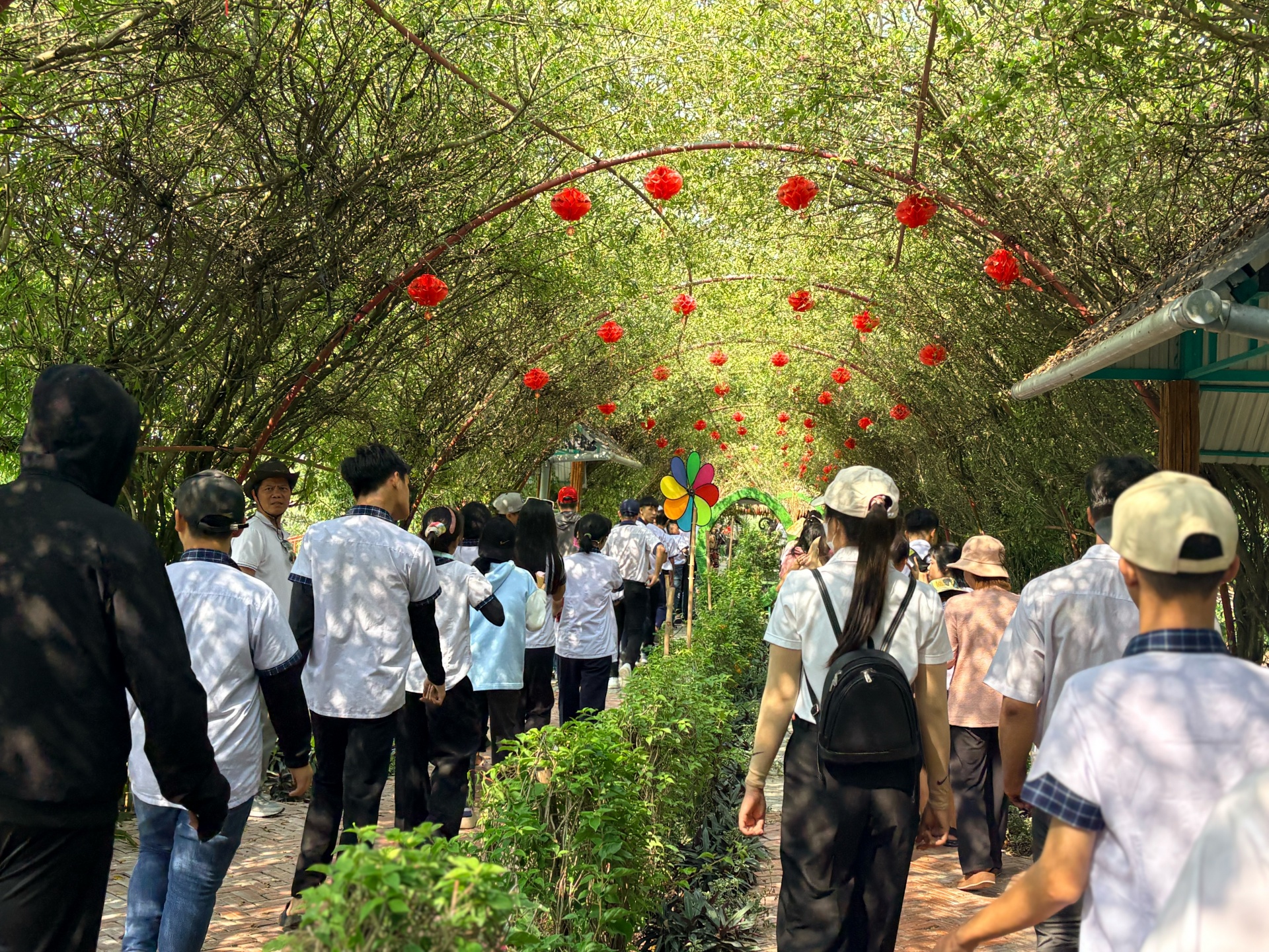 Về Sông Hậu Farm, chạm vào nhịp sống miệt vườn giữa lòng Cần Thơ