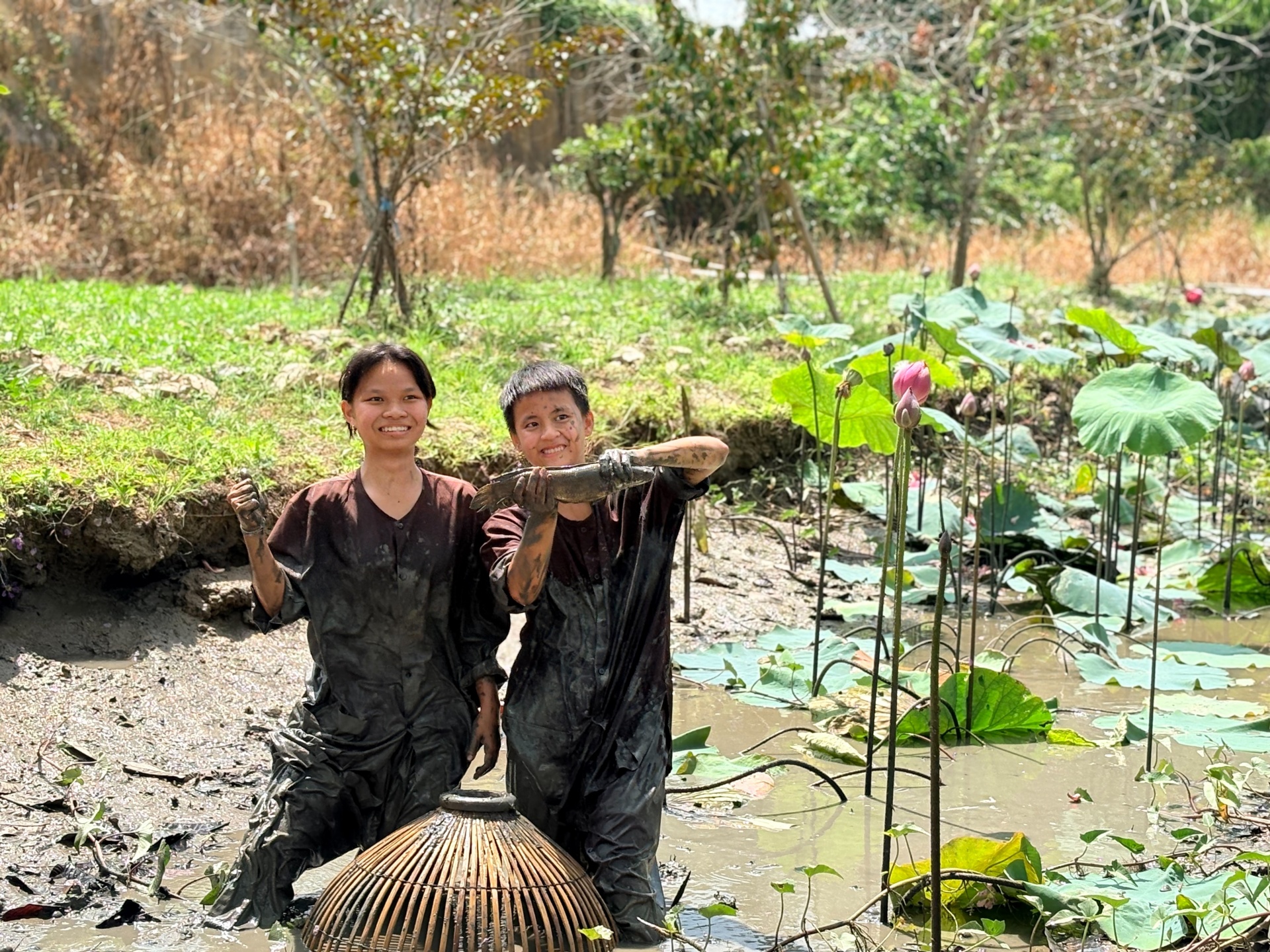 Về Sông Hậu Farm, chạm vào nhịp sống miệt vườn giữa lòng Cần Thơ
