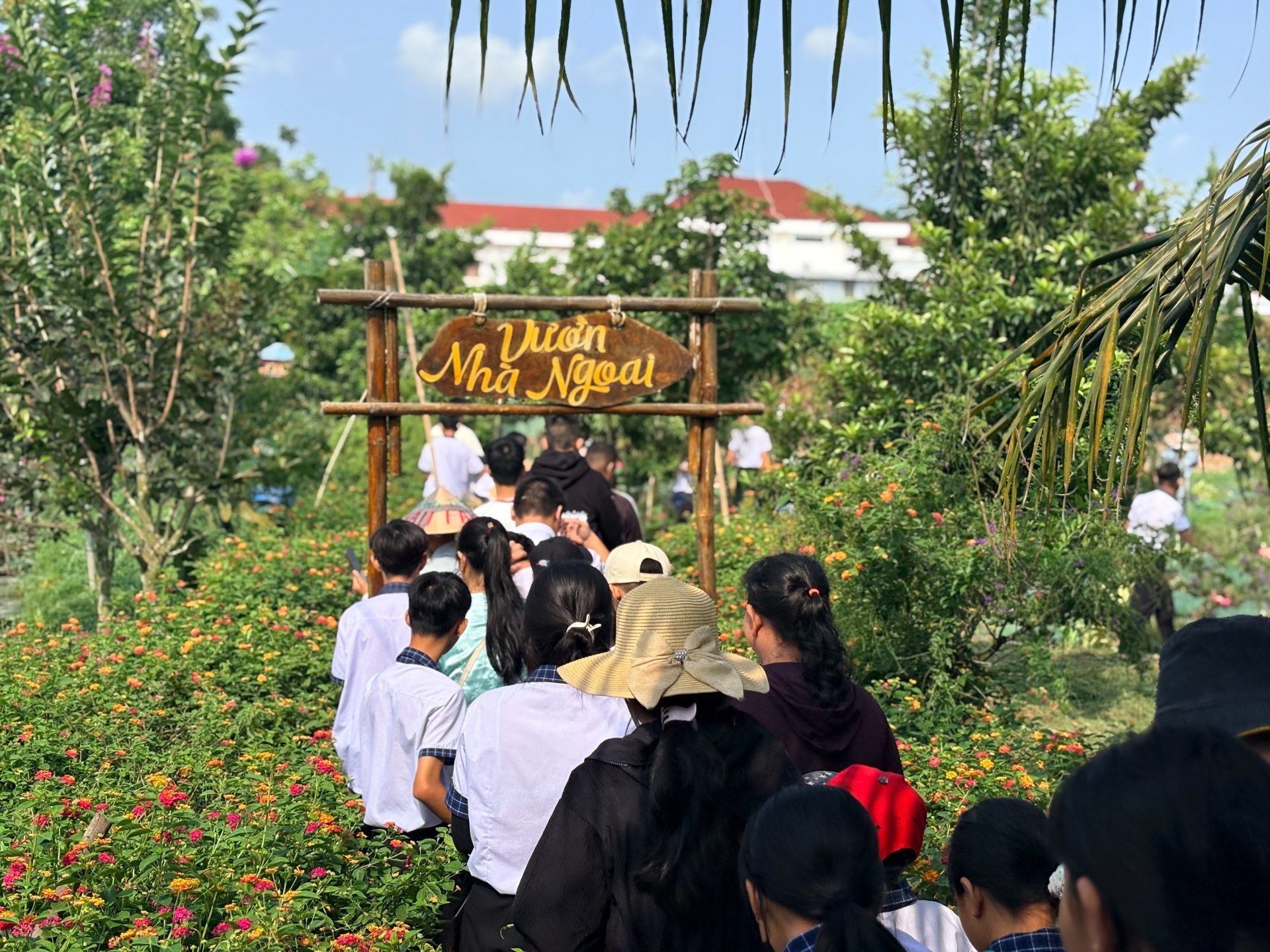 Về Sông Hậu Farm, chạm vào nhịp sống miệt vườn giữa lòng Cần Thơ