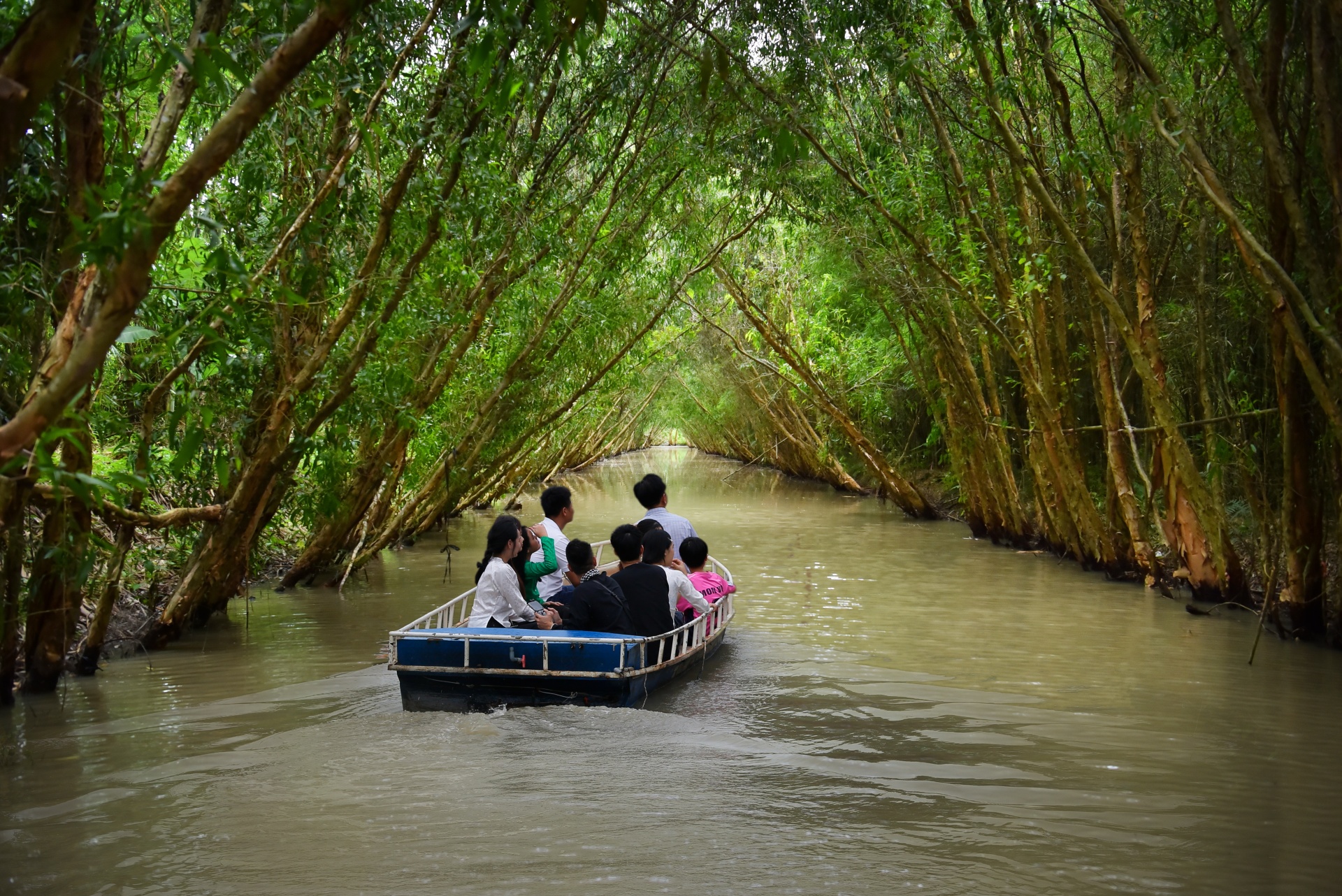 Về Sông Hậu Farm, chạm vào nhịp sống miệt vườn giữa lòng Cần Thơ