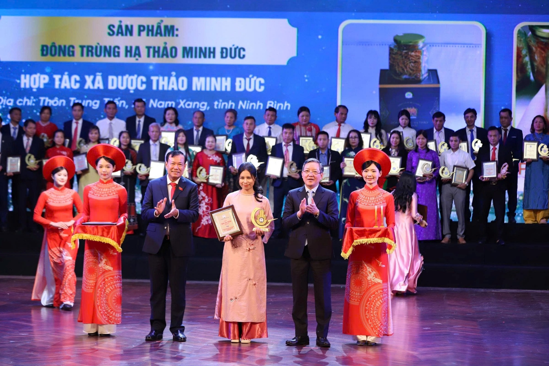 Mở rộng không gian phát triển nấm dược liệu: Từ mô hình khởi nghiệp đến định hướng hợp tác xã bền vững