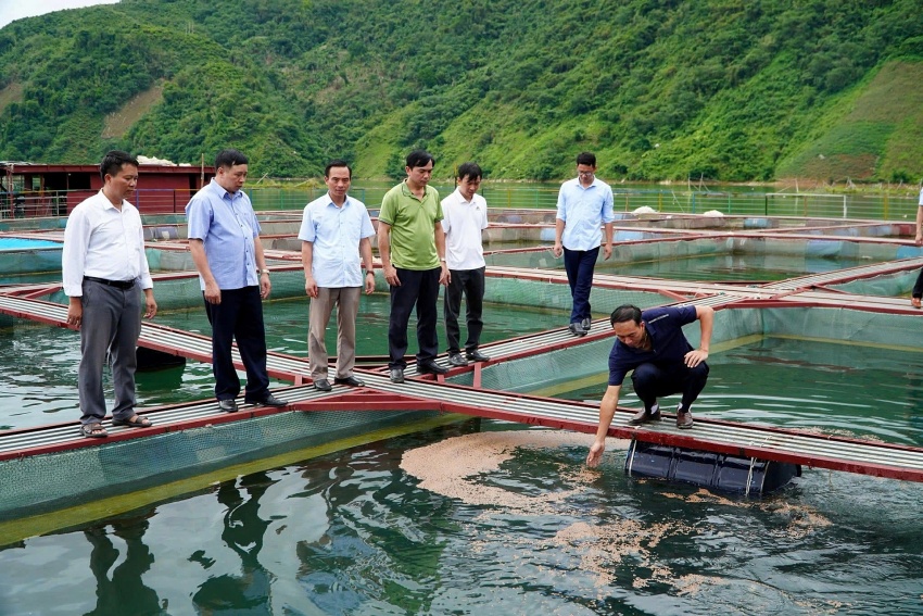 Nông nghiệp xanh – Động lực tăng trưởng mới của Lai Châu