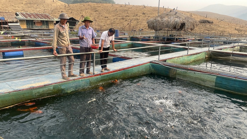 Nông nghiệp xanh – Động lực tăng trưởng mới của Lai Châu