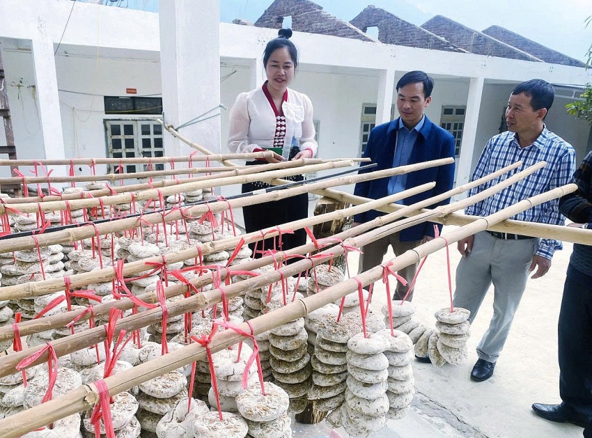 Nông nghiệp xanh – Động lực tăng trưởng mới của Lai Châu