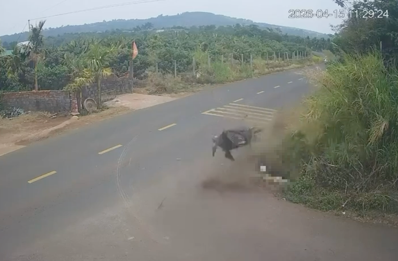  Hiện trường vụ tai nạn trên Quốc lộ 29 (Đắk Lắk) khiến nam sinh lớp 12 gặp nạn, tử vong trong quá trình chuyển viện (ảnh cắt từ clip).