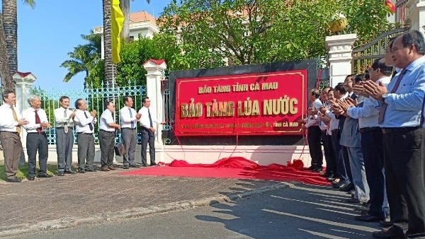 Cà Mau xây bảo tàng lúa nước, biến di sản thành tài nguyên du lịch