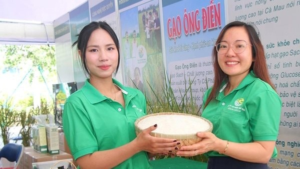 Cà Mau lần đầu tổ chức cuộc thi gạo ngon Đồng bằng sông Cửu Long