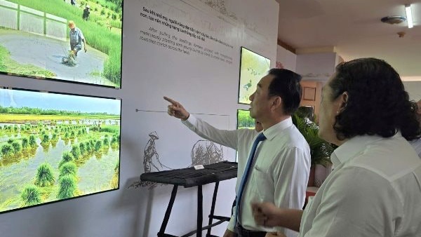 Cà Mau xây bảo tàng lúa nước, biến di sản thành tài nguyên du lịch