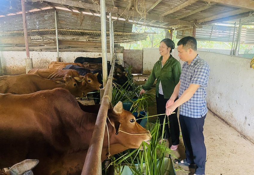 Nậm Tăm (Lai Châu) Xây dựng nông thôn xanh từ ý thức cộng đồng