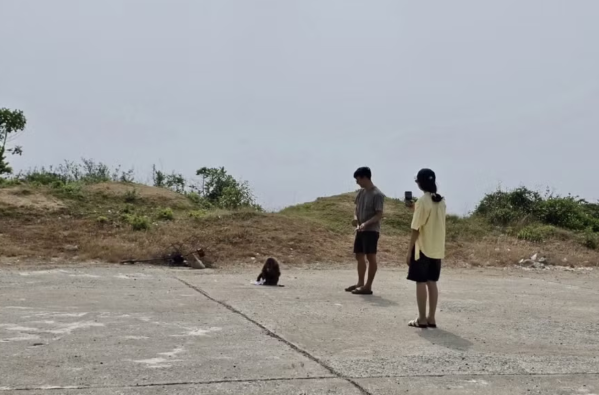  Du khách tiếp cận, chơi đùa với khỉ hoang tại khu vực ngoài Bãi Môn – Mũi Đại Lãnh – hành vi tiềm ẩn nguy cơ mất an toàn. (Ảnh cắt từ clip)