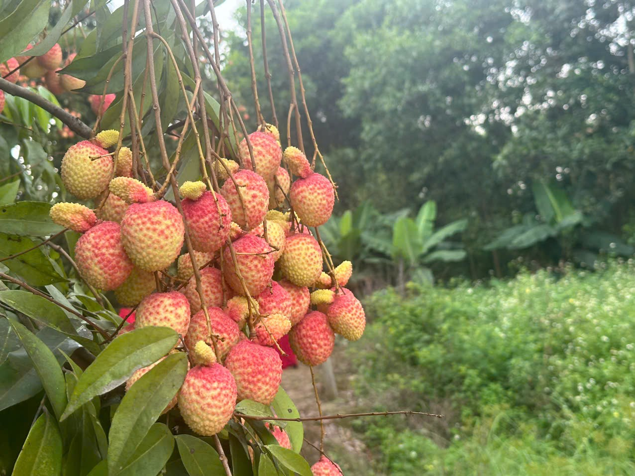 Ngỡ ngàng đặc sản 