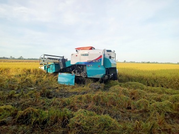 ĐBSCL xây dựng nền tảng dữ liệu cho canh tác lúa thông minh