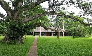 Tháng Năm về Tân Trào nhớ Bác