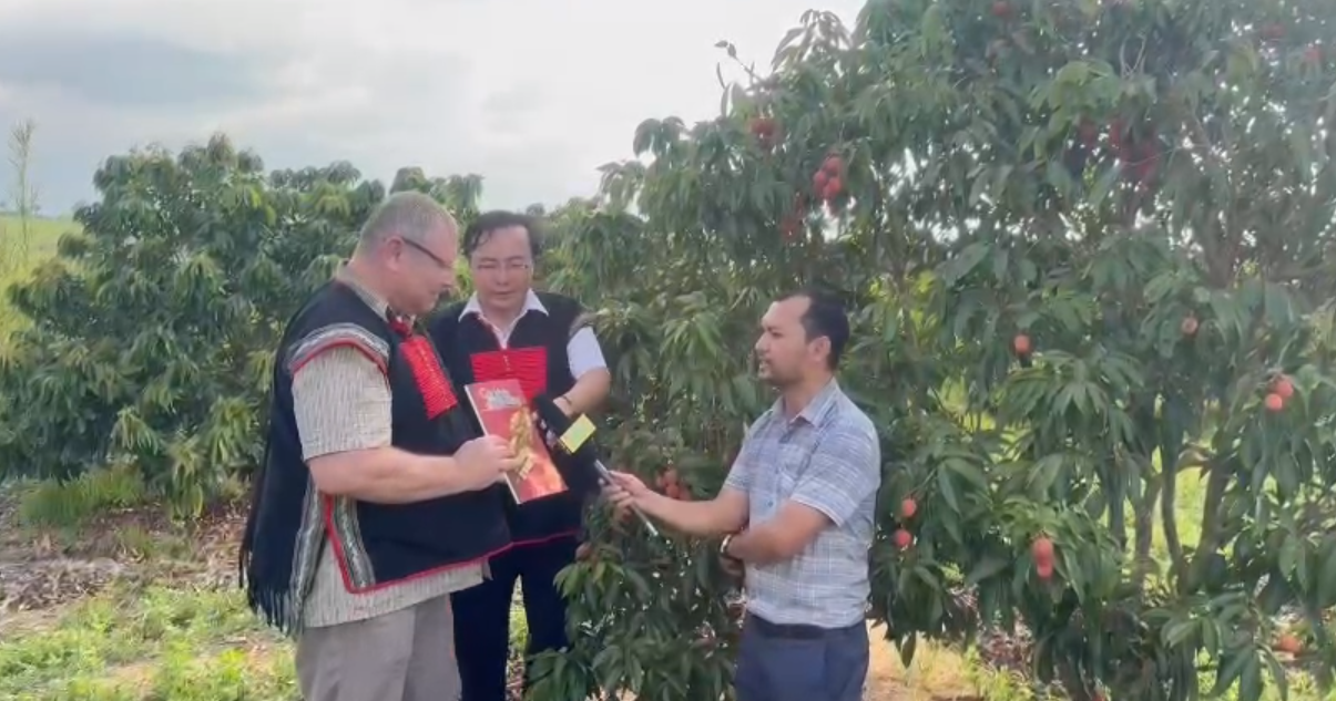 Ông Guley Sergei Nikolaevich khảo sát mô hình cây trồng tại xã Cư Prao, tỉnh Đắk Lắk và trao đổi định hướng hợp tác phát triển nông nghiệp bền vững. Ông Guley Sergei Nikolaevich khảo sát mô hình cây trồng tại xã Cư Prao, tỉnh Đắk Lắk và trao đổi định hướng hợp tác phát triển nông nghiệp bền vững.