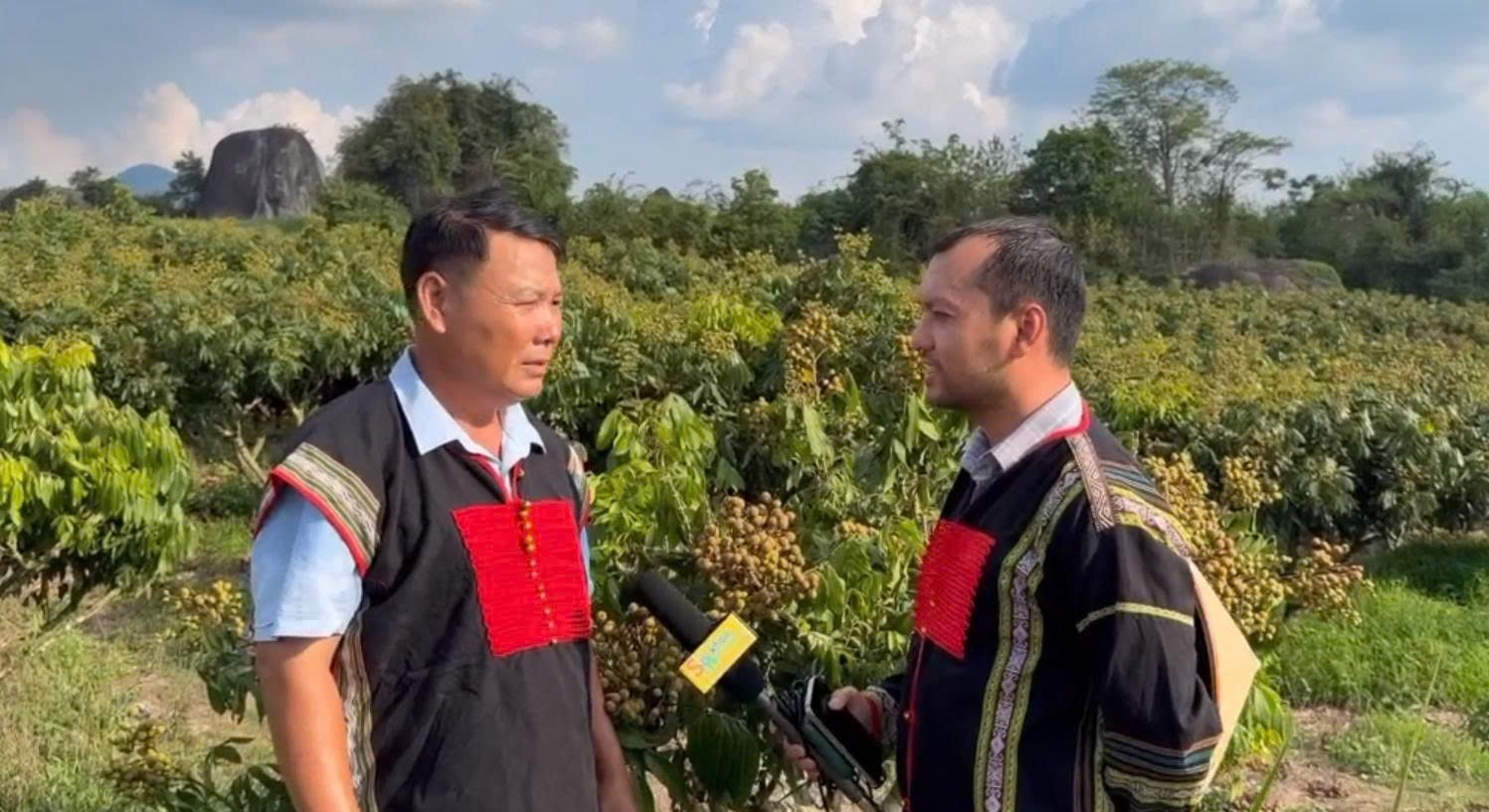 Ông Vũ Khắc Quang chia sẻ mô hình phát triển cây trồng với đoàn công tác Liên bang Nga tại vùng đất lịch sử Điểm cao 519. Ông Vũ Khắc Quang chia sẻ mô hình phát triển cây trồng với đoàn công tác Liên bang Nga tại vùng đất lịch sử Điểm cao 519.