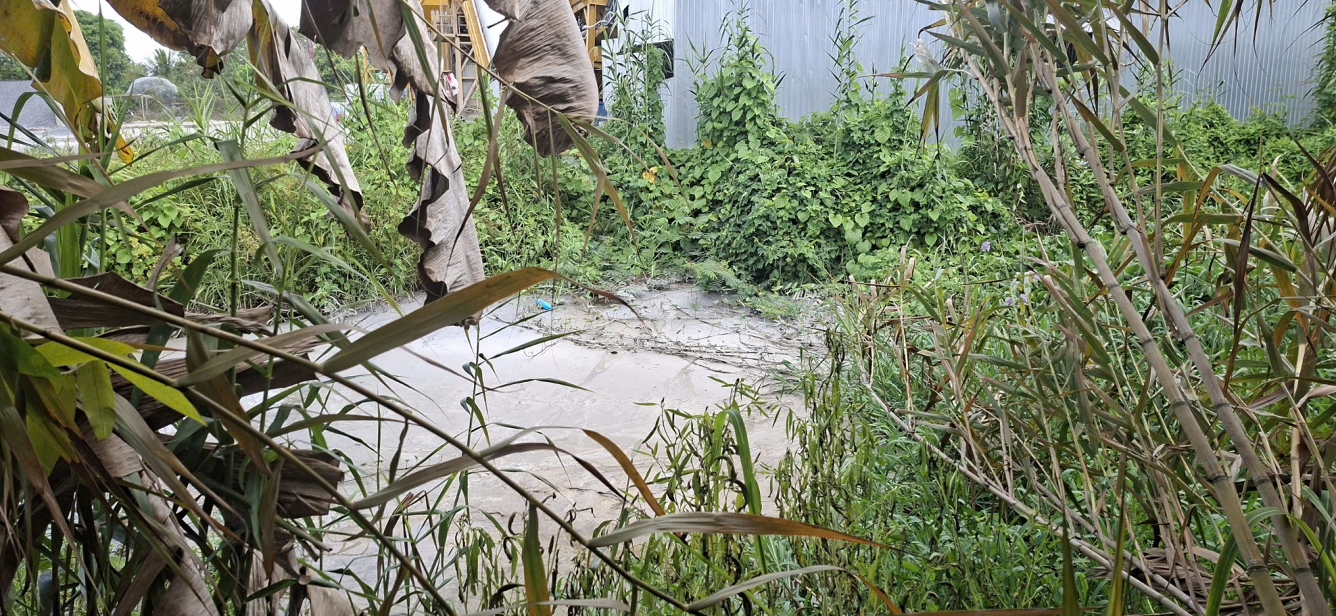 Người dân lo ngại ô nhiễm quanh trạm trộn bê tông ở Cần Thơ Người dân lo ngại ô nhiễm quanh trạm trộn bê tông ở Cần Thơ