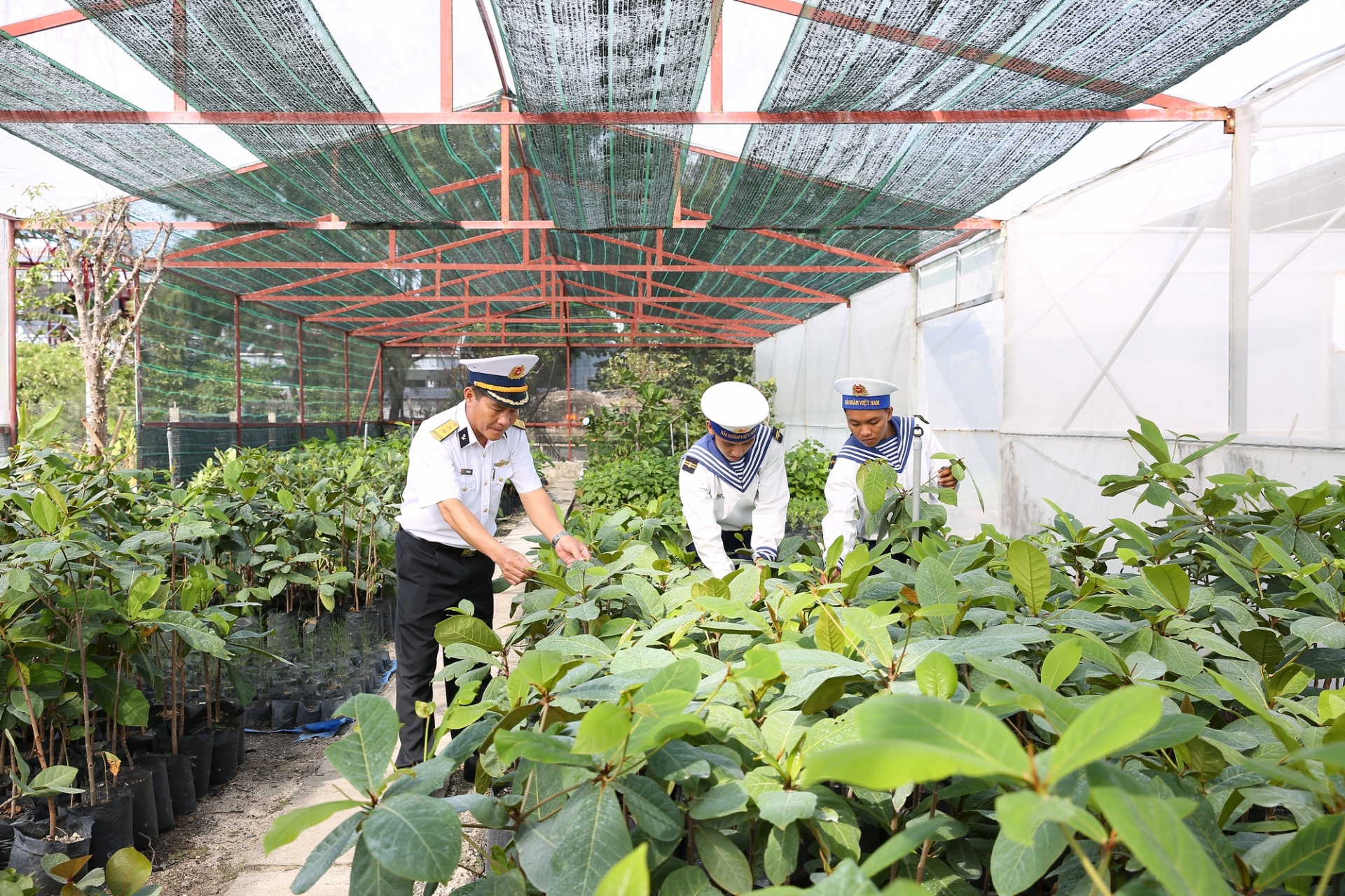Trung tá Đỗ Văn Mạnh, Phó Chỉ huy trưởng đảo Sơn Ca cùng chiến sĩ chăm sóc vườn cây giống - Ảnh: VGP Trung tá Đỗ Văn Mạnh, Phó Chỉ huy trưởng đảo Sơn Ca cùng chiến sĩ chăm sóc vườn cây giống - Ảnh: VGP
