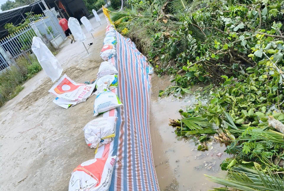 Cần Thơ tăng cường ứng phó trước diễn biến phức tạp của sạt lở