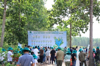 Trồng rừng gắn với ESG: Hướng đi thiết thực vì môi trường và sức khỏe cộng đồng