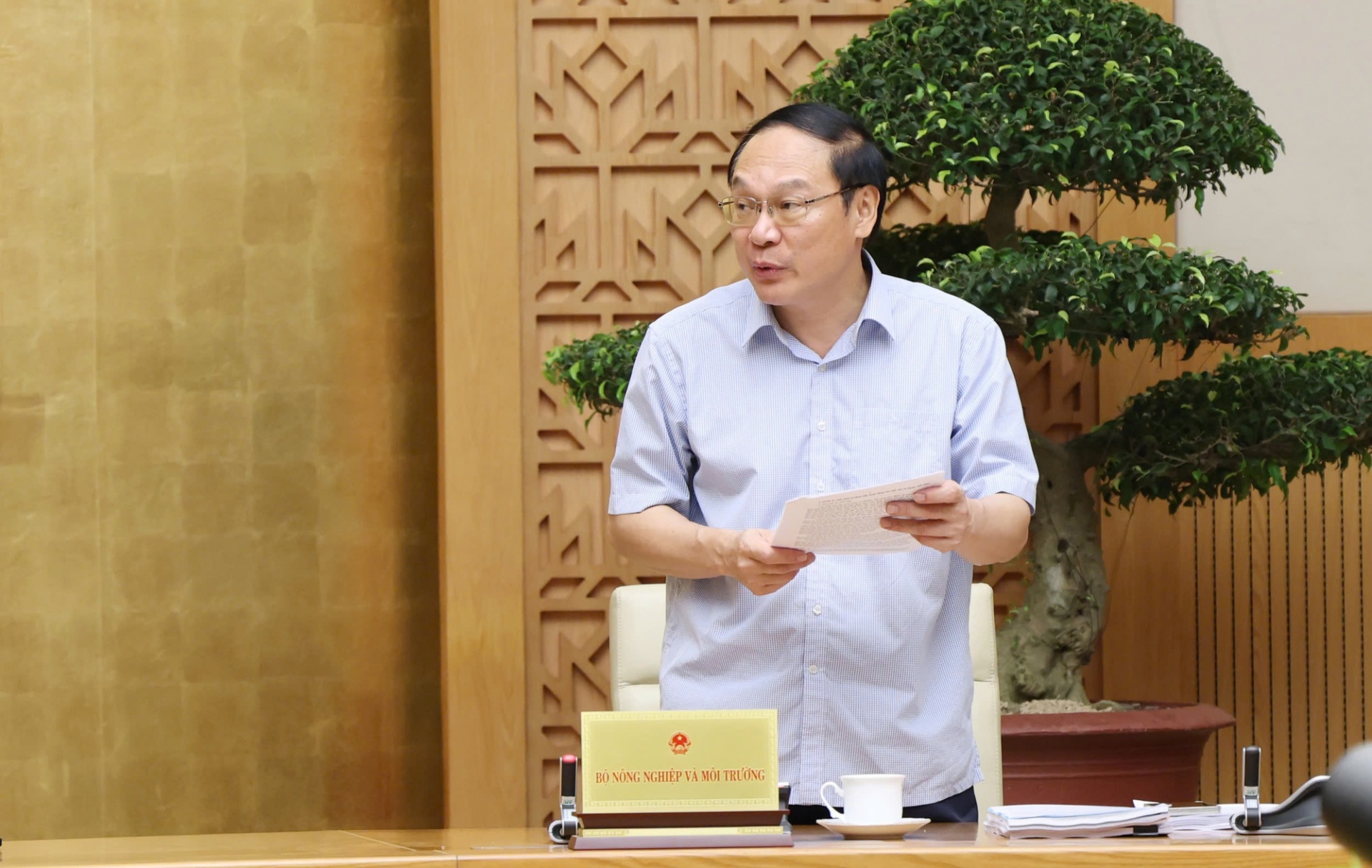 Thứ trưởng Bộ NN&MT Lê Công Thành báo cáo - Ảnh: VGP Thứ trưởng Bộ NN&MT Lê Công Thành báo cáo - Ảnh: VGP