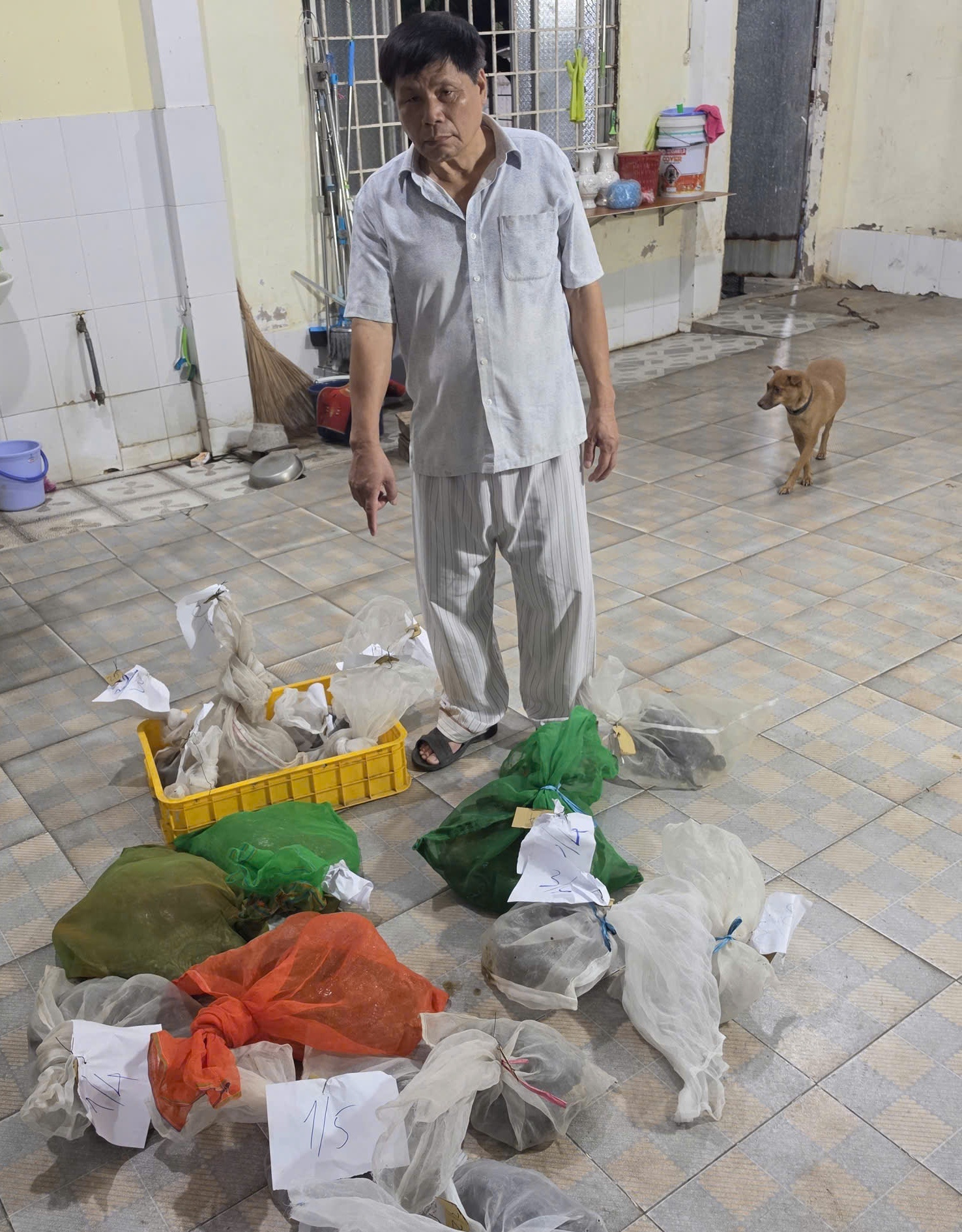 Phá đường dây săn bắt, mua bán động vật hoang dã từ Cà Mau về An Giang Phá đường dây săn bắt, mua bán động vật hoang dã từ Cà Mau về An Giang