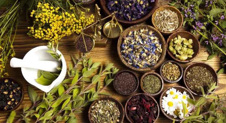 Phát huy vai trò của y học cổ truyền trong chăm sóc, nâng cao sức khỏe Nhân dân