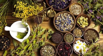Phát huy vai trò của y học cổ truyền trong chăm sóc, nâng cao sức khỏe Nhân dân