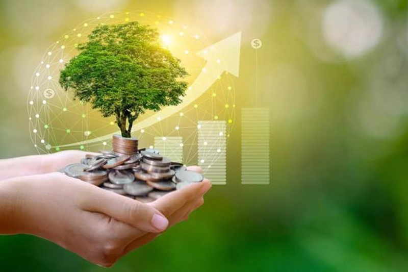 Tín dụng xanh hướng tới các dự án thân thiện với môi trường, sử dụng công nghệ sạch hoặc góp phần giảm phát thải khí nhà kính